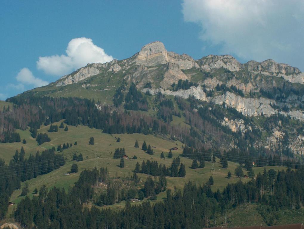 Hotel Restaurant Simplon Frutigen Room photo